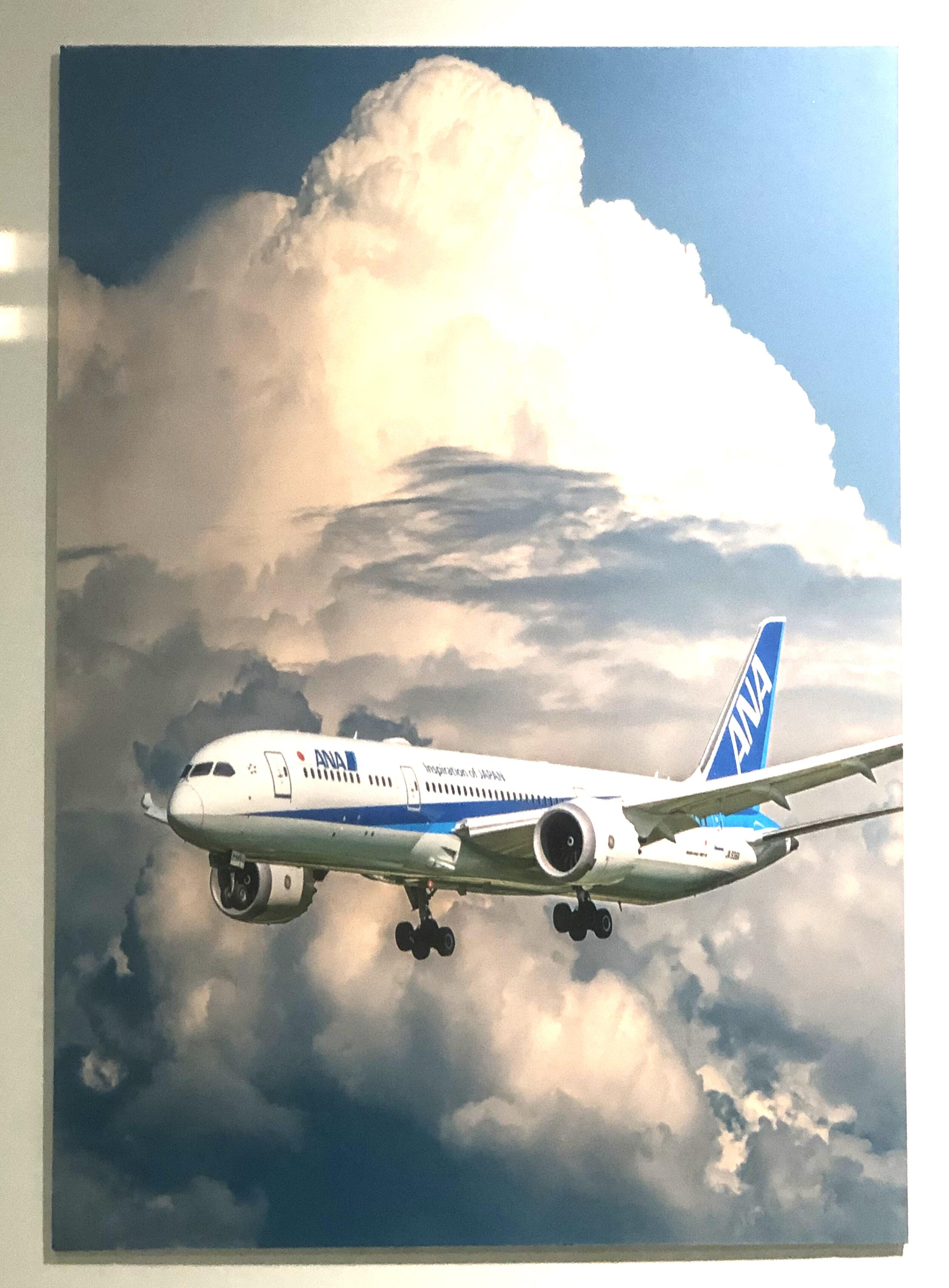 飛行機8.JPG