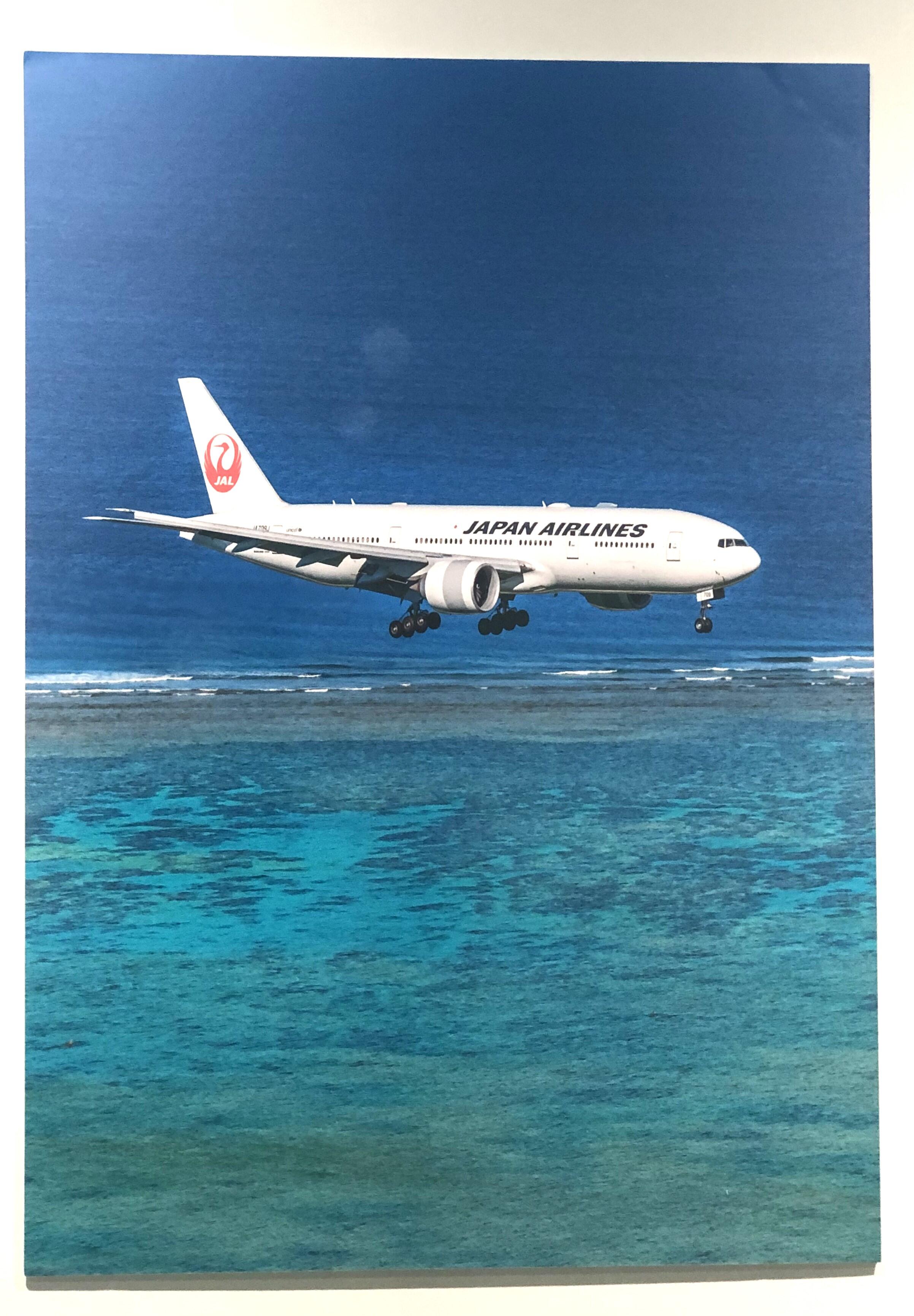 飛行機7.JPG